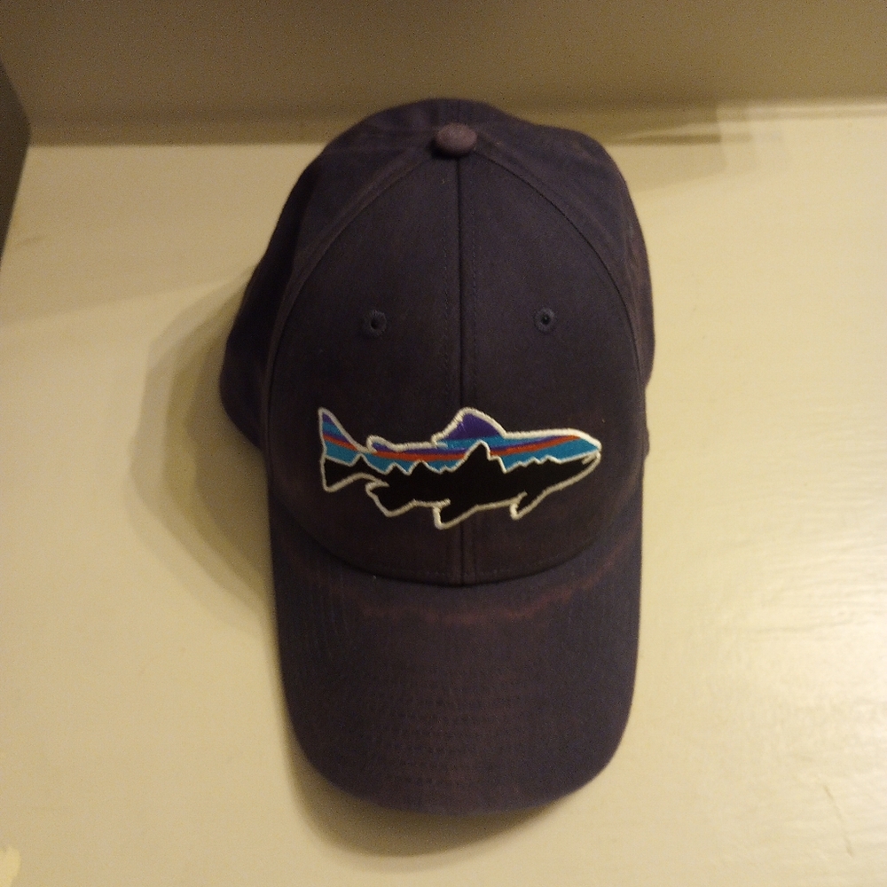 Patagonia Fitz Roy Trout Men's Flex Fit Hat - Picture 3 of 10